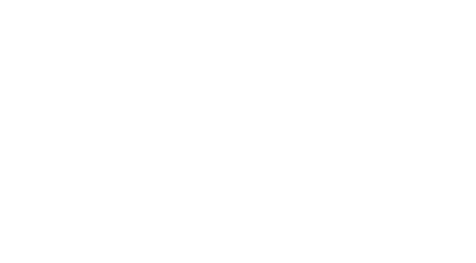 VikingRP